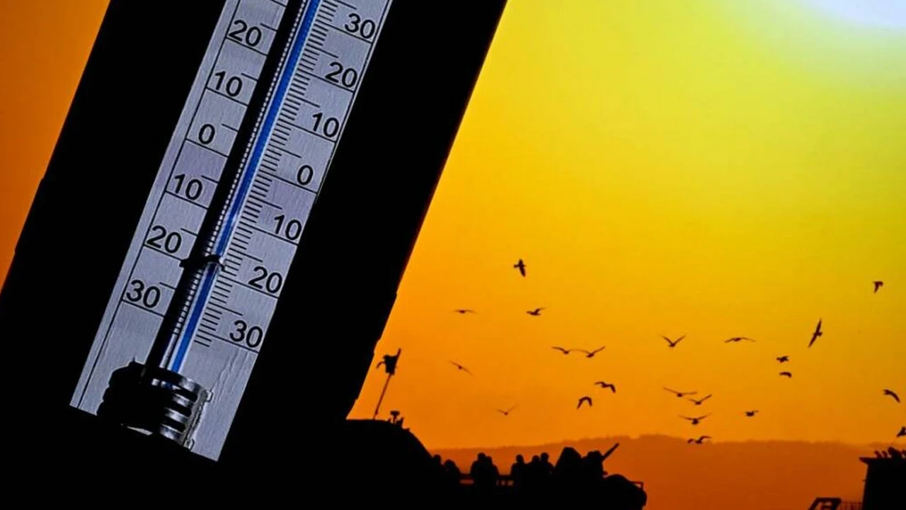 Almanya’da sıcaklık rekoru: Ürünler bir anda yok sattı