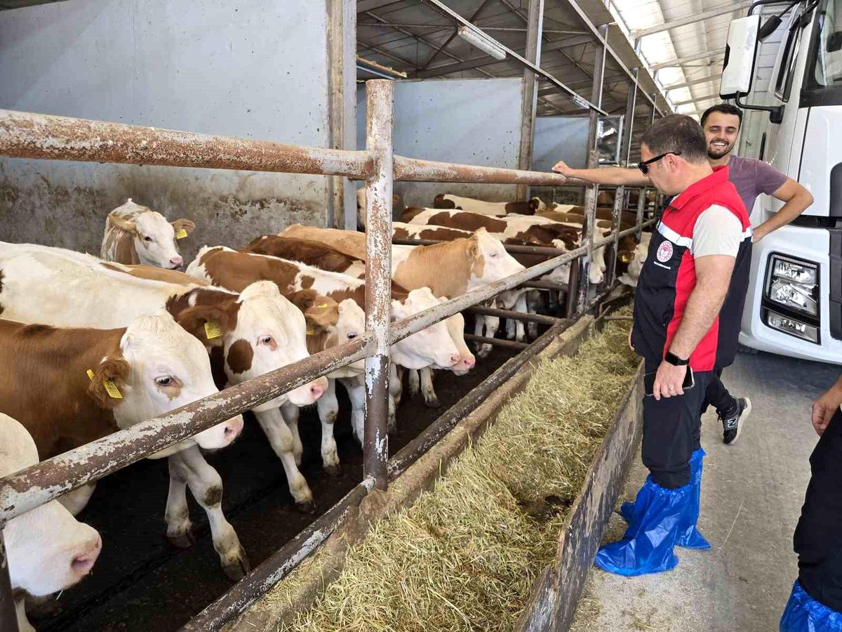 Orhaneli'de hayvan yetiştiren işletmeler kontrol edildi