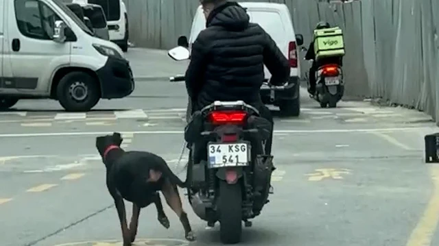 Kağıthane’de tepki çeken görüntü: Köpeği motosiklete bağlayıp metrelerce koşturdu