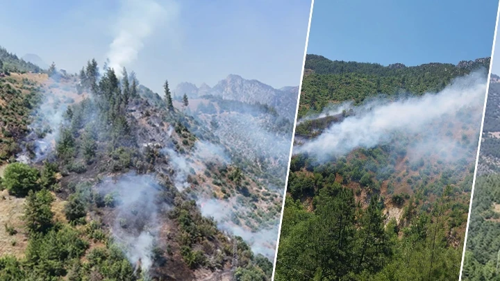 Adana'da orman yangını! Çok sayıda ekip sevk edildi