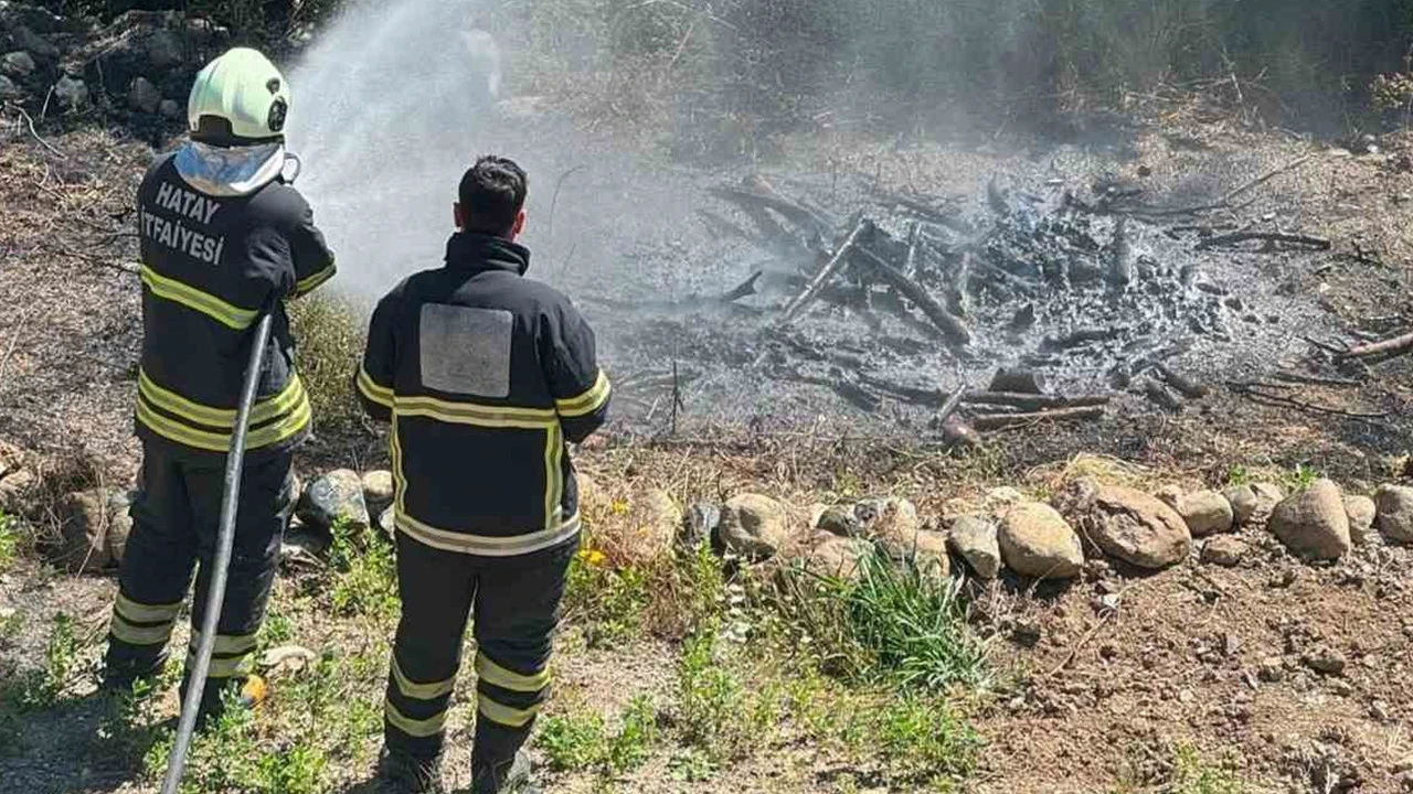 Antakya’da zeytinlik alanda yangın