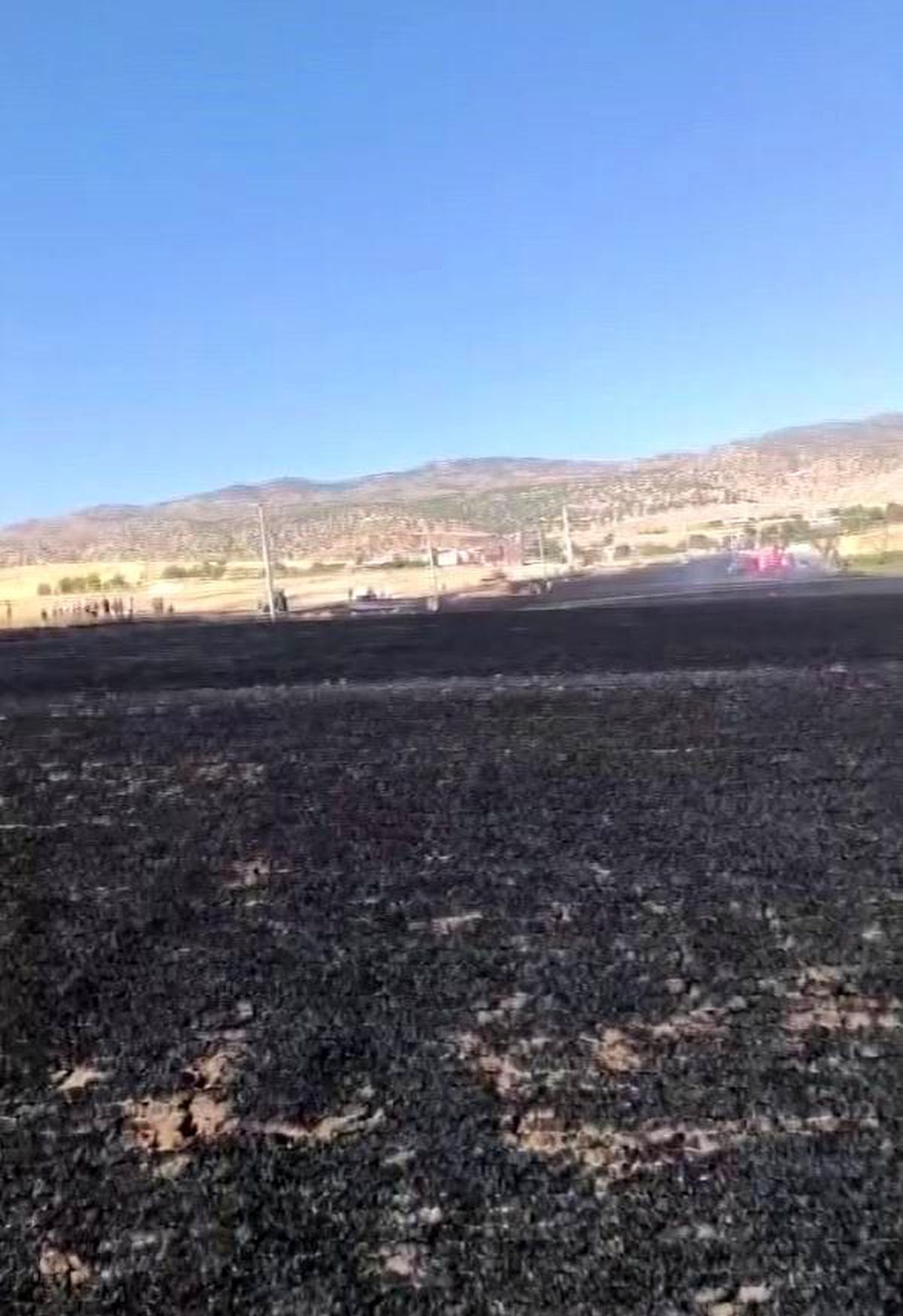 Diyarbakır'da 100 dönümlük alan alevlere teslim oldu