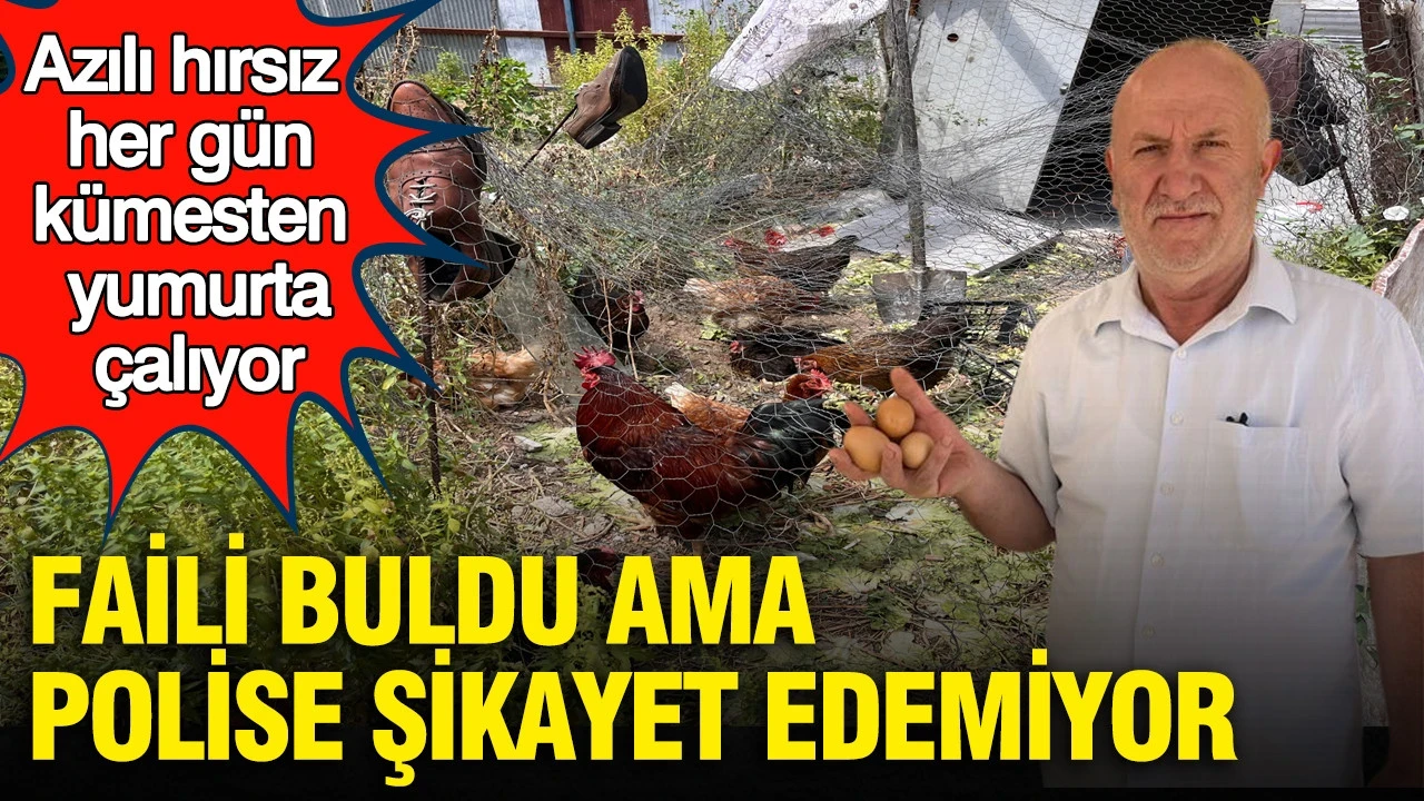 Azılı hırsız her gün kümesten yumurta çalıyor: Faili buldu ama polise şikayet edemiyor