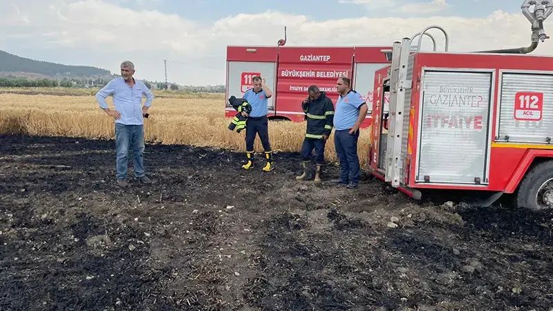 Gaziantep'te 5 dönümlük buğday tarlası yandı