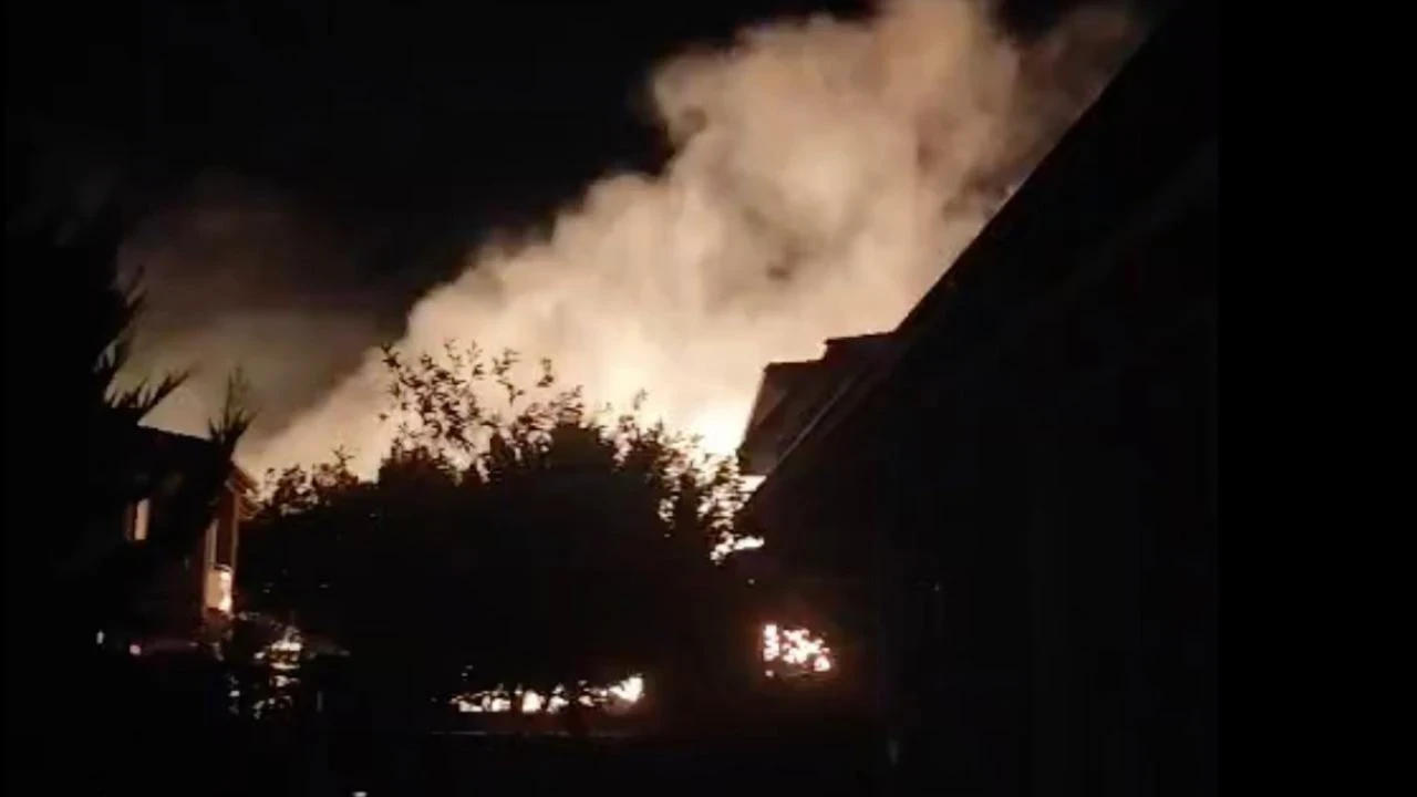 Cunda Adası'ndaki orman yangını kontrol altına alındı