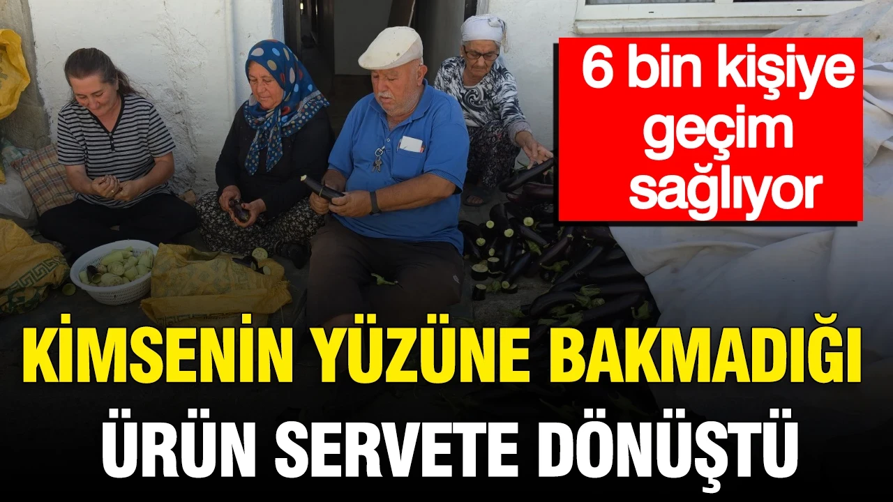 Kimsenin yüzüne bakmadığı ürün servete dönüştü: 6 bin kişiye geçim sağlıyor