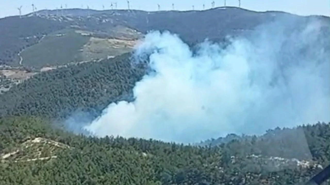 Manisa'da orman yangını