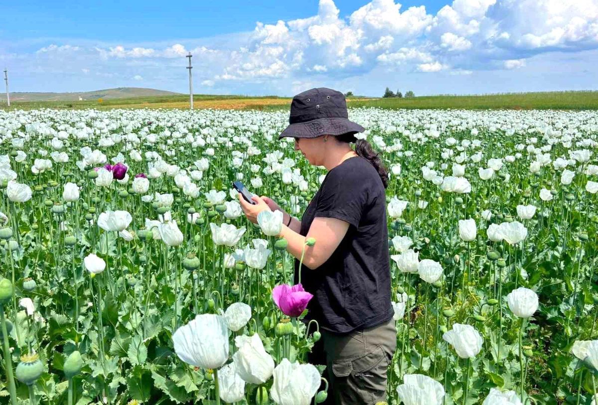 Tarımsal üretimin planlı şekilde yürütülmesi için çalışmalar sürüyor