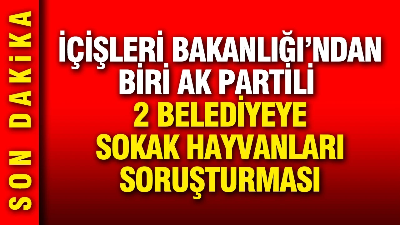 İçişleri Bakanlığı'ndan biri AK Partili 2 belediyeye sokak hayvanları soruşturması