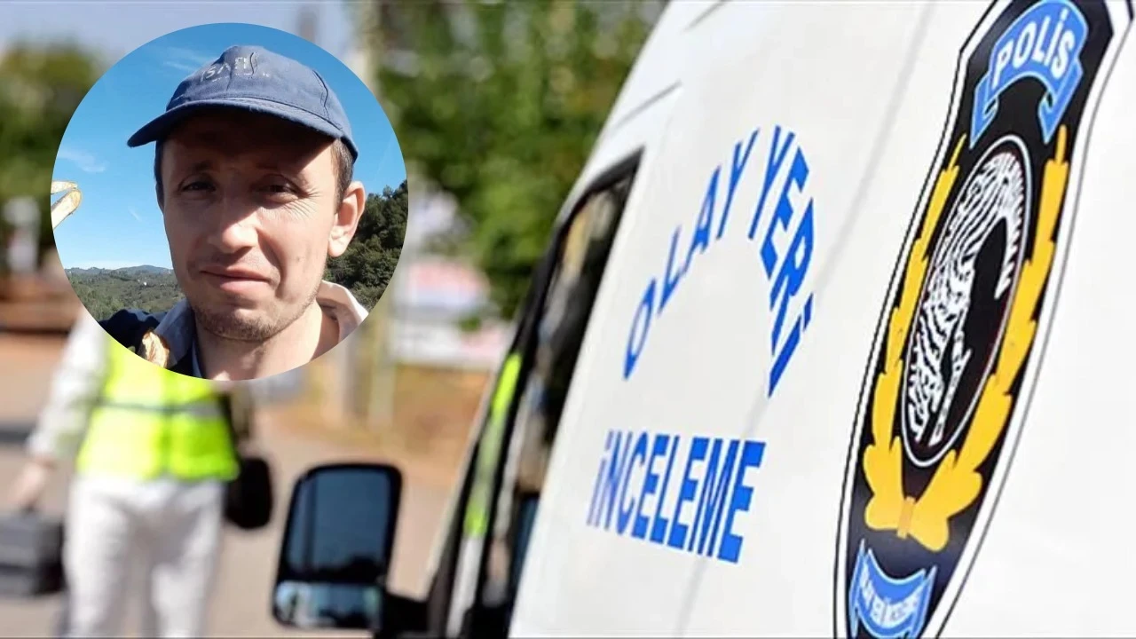 Ağaç budarken hayatını kaybetti