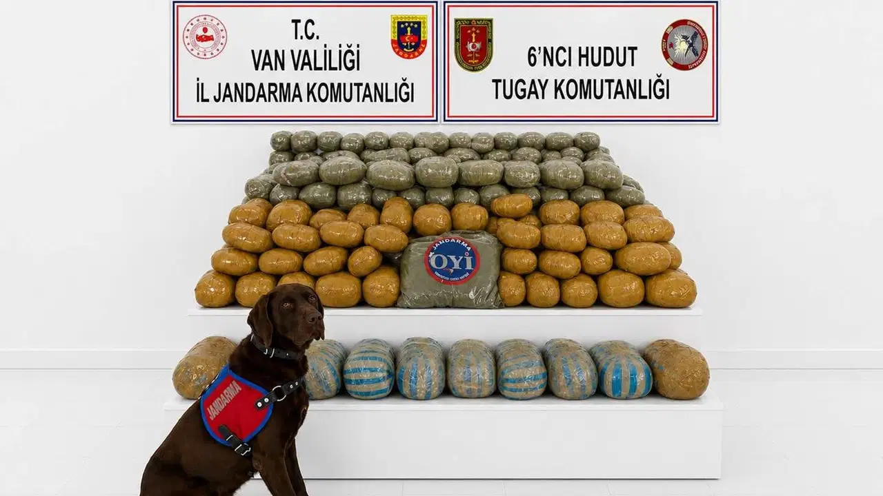Van-İran sınırında 291 kilo esrar ele geçirildi