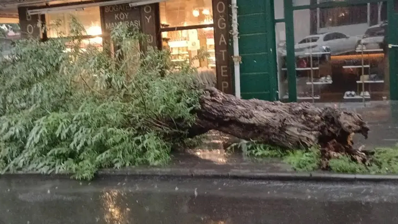 Fırtına çatıları uçurdu! Ağacı kökünden söktü! O anlar kameralara yansıdı