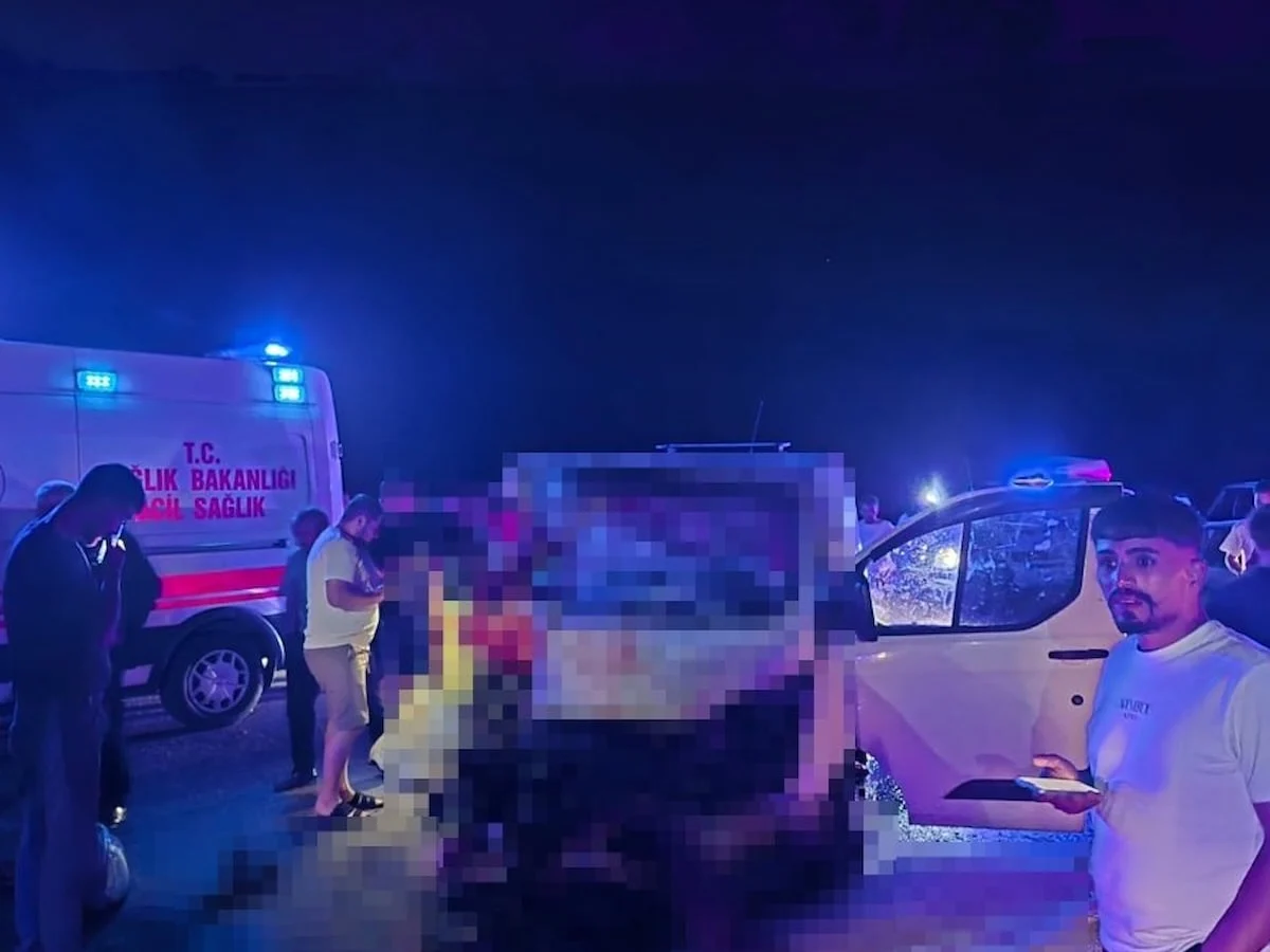 Bingöl-Erzurum kara yolunda minibüs yola çıkan ata çarptı: 1 ölü, 2 yaralı