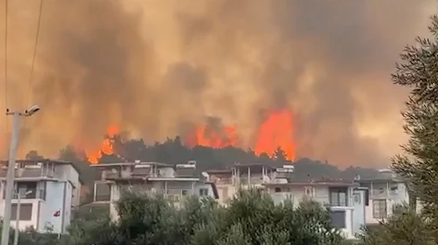 İzmir'de orman yangını rüzgarla birlikte geniş alana yayıldı