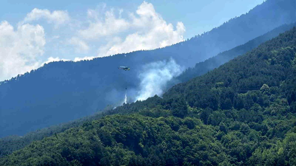 Ormanlık alanda çıkan yangına havadan ve karadan müdahale