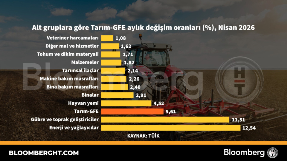 Alt gruplara göre Tarım-GFE aylık değişim oranları