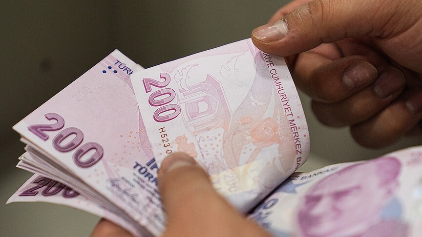 Haziran ayı Sosyal ve Ekonomik Destek ödemeleri hesaplara yatırıldı