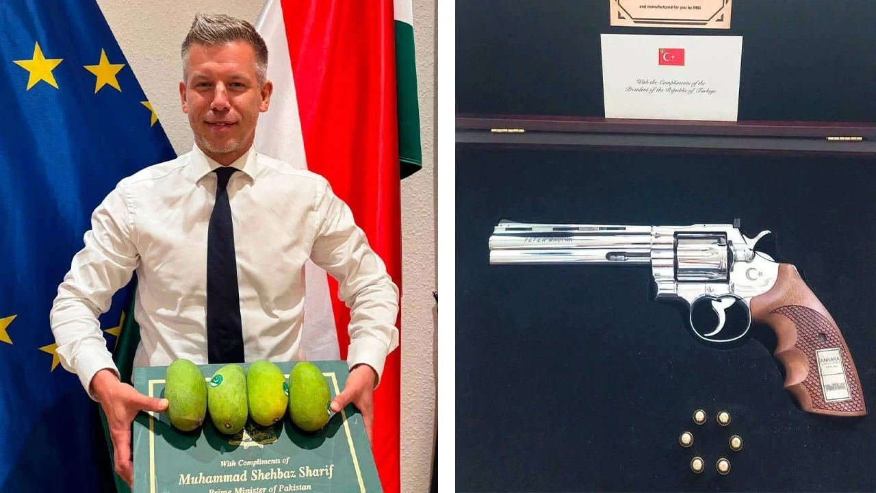 Magyar'dan Erdoğan'ın NATO hediyesine gönderme