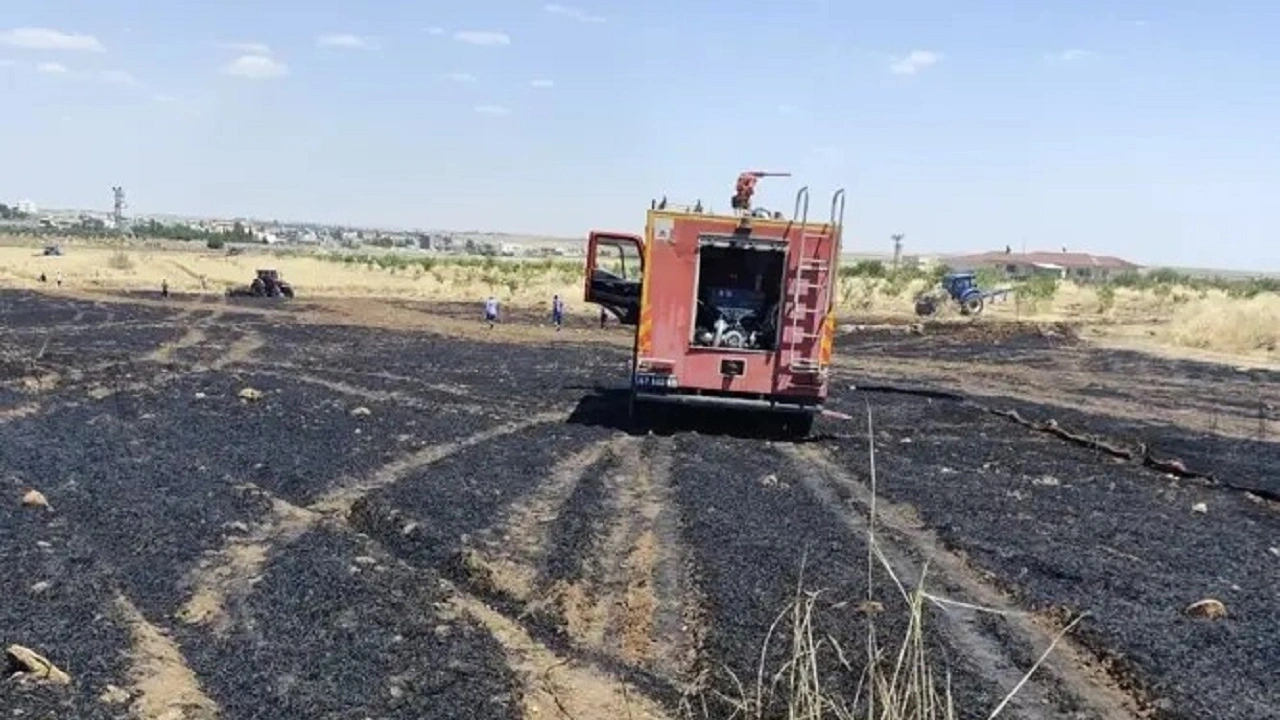 Mardin'de alevlere karşi traktörlü siper: 40 dönüm buğday kül oldu!