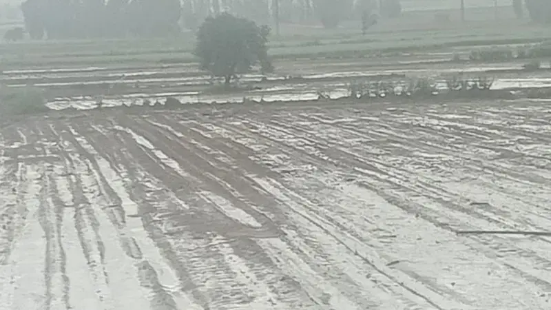 Kayseri’de sağanak ve dolu ekili alanlara zarar verdi
