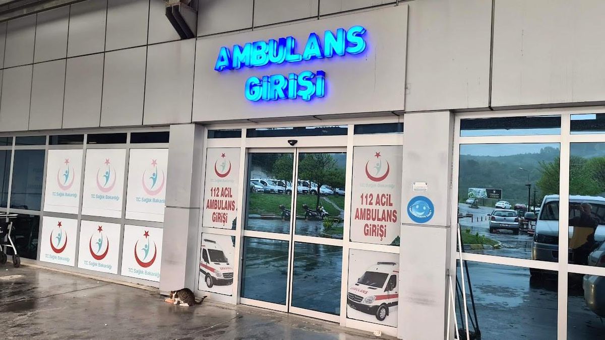 Arı sokması sonucu yoğun bakıma kaldırıldı
