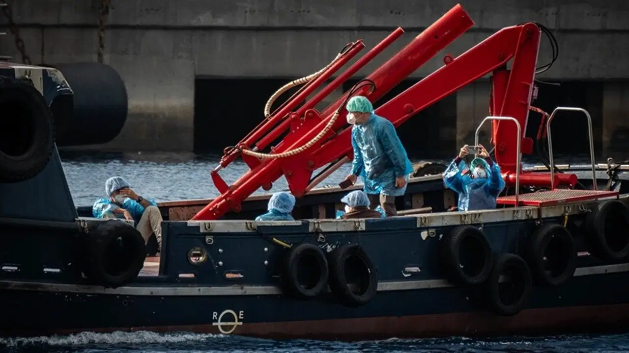 DSÖ açıkladı: Hantavirüs salgını sona ermek üzere