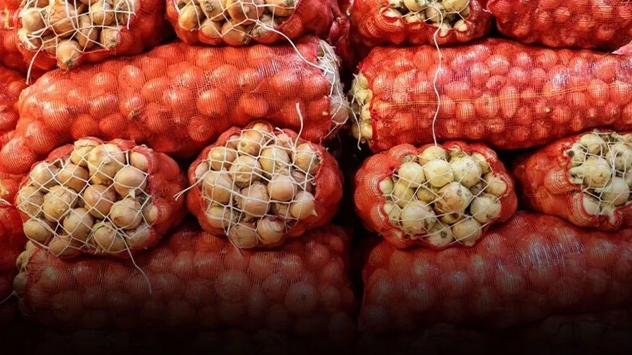 Gümrük vergisi 31 Ağustos'a kadar yüzde 5'e indirildi