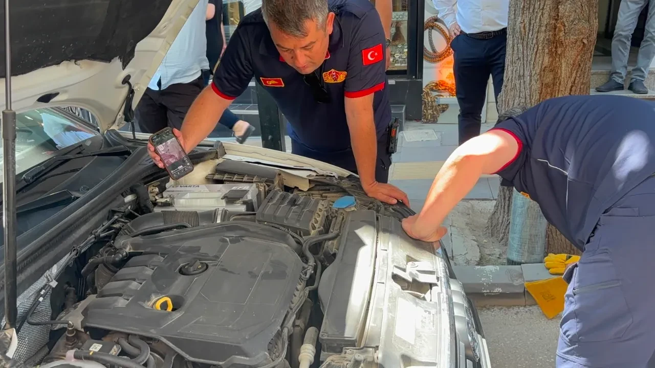 Otomobilden otomobile saklanan kedinin film gibi kaçışı! İtfaiyeciler ter döktü