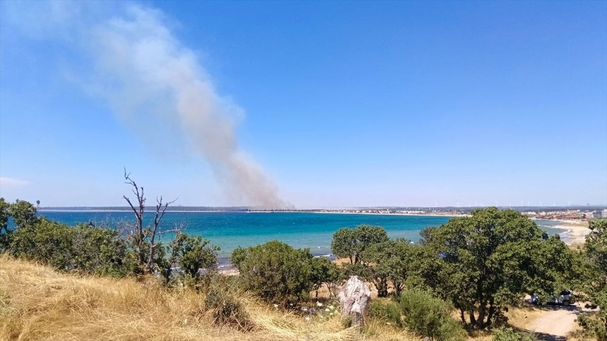 Çanakkale'de tarım arazisinde çıkan yangına müdahale ediliyor
