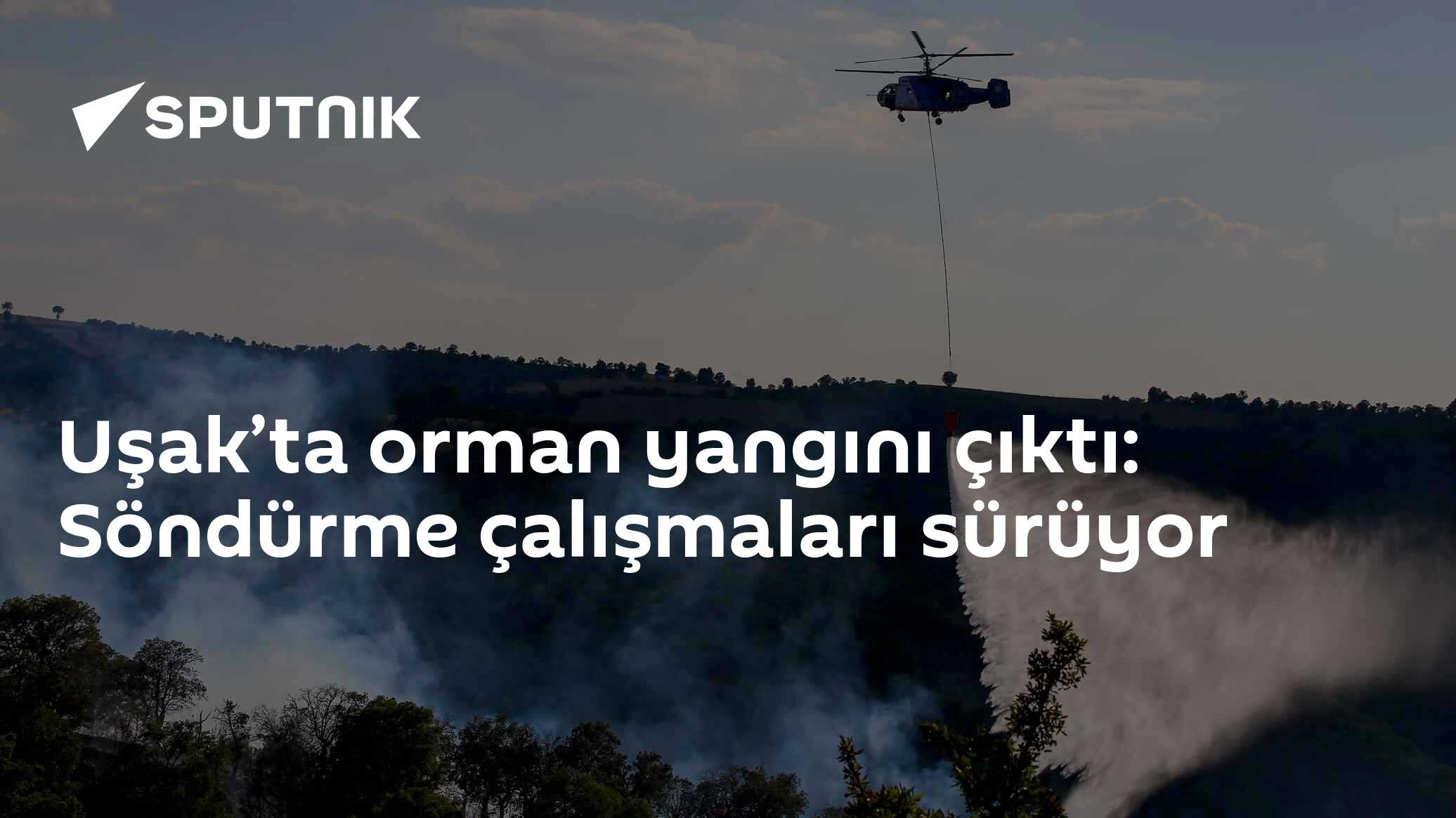 Uşak’ta orman yangını çıktı: Söndürme çalışmaları sürüyor