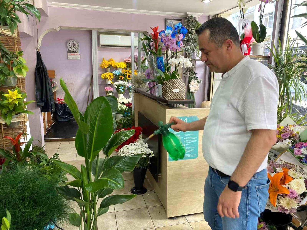 Yaz aylarında çiçek bakımında bunlara dikkat