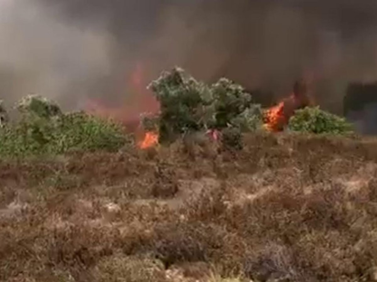 İsrailliler Filistinlilere ait arazileri ateşe verdi
