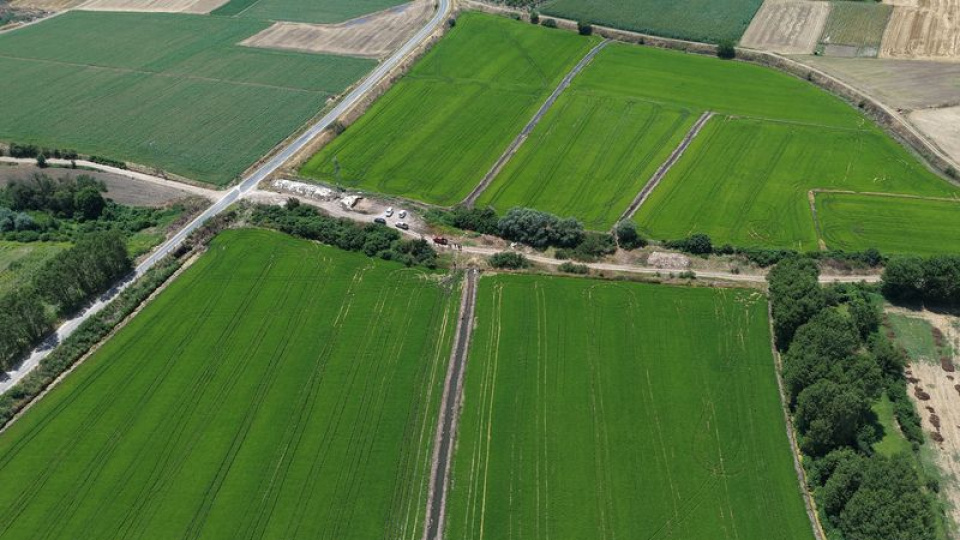 Edirne'de üretim alanı 50 bin dekar arttı: 400 bin ton rekolte hedefleniyor.