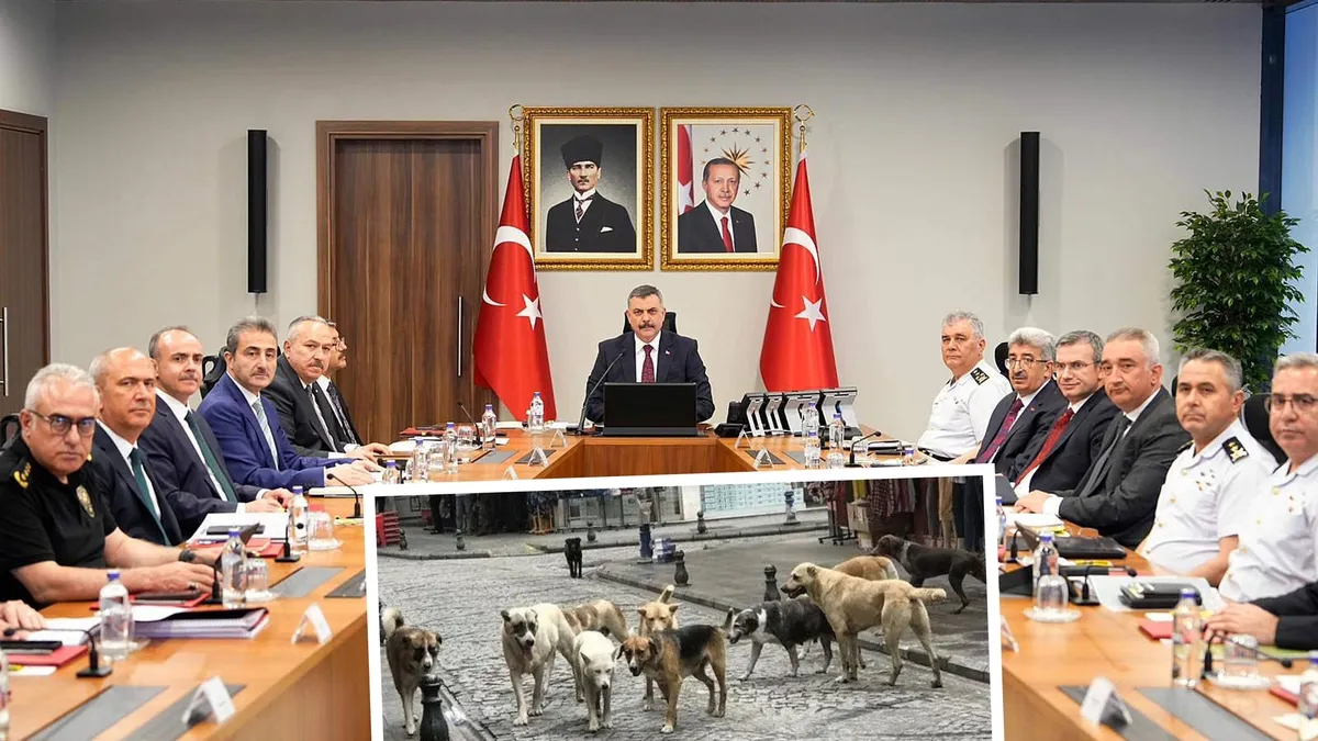 Bakan Çiftçi’den valilere net talimat: Başıboş köpekler tamamen temizlenecek
