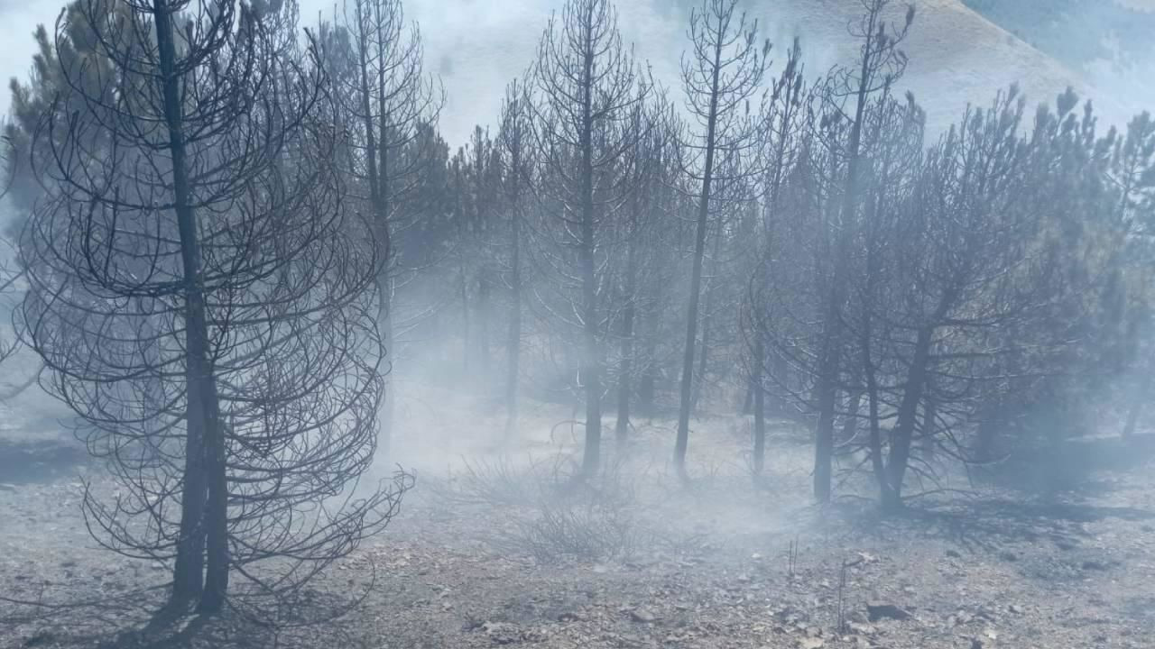 Isparta'da çıkan orman yangını söndürüldü