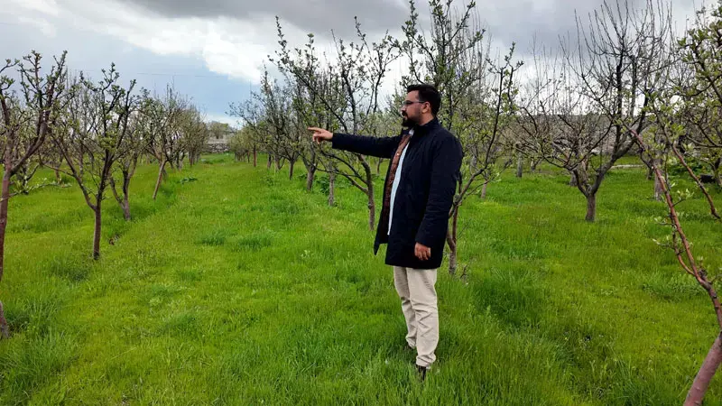 Diş hekimi, memleketine 2 bin ceviz fidanı dikti