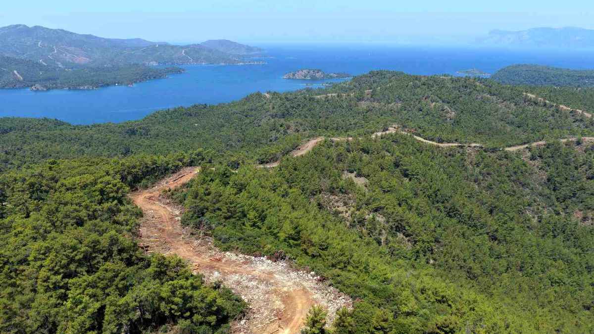 Muğla ve Aydın'da Orman yangın şerit yolu uzunluğu 2 bin kilometreye çıkıyor