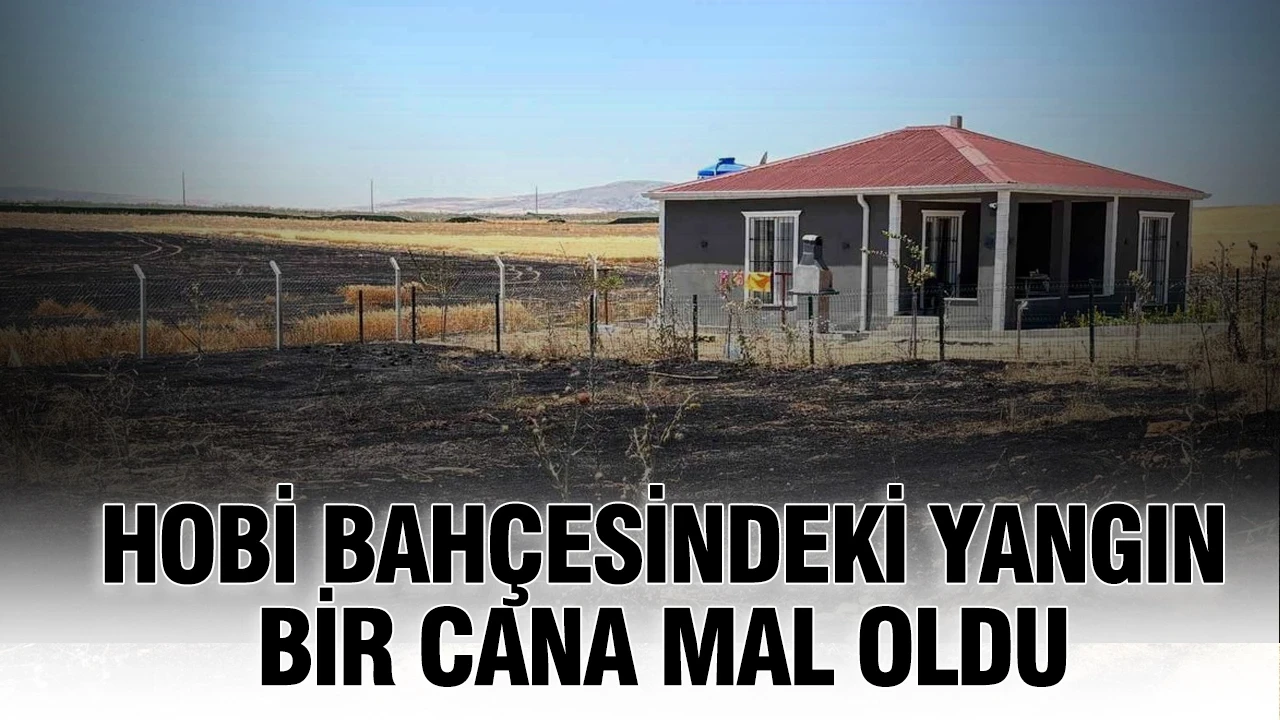 Hobi bahçesindeki yangın bir cana mal oldu