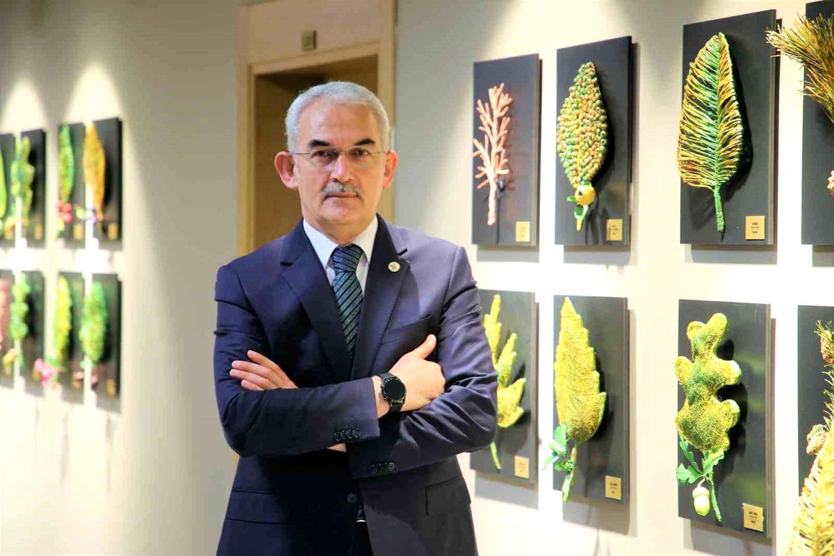Türkiye'ye lavanta ihracatı ile 5 yılda ekosisteme 765 bin dolar döviz girdisi sağlandı