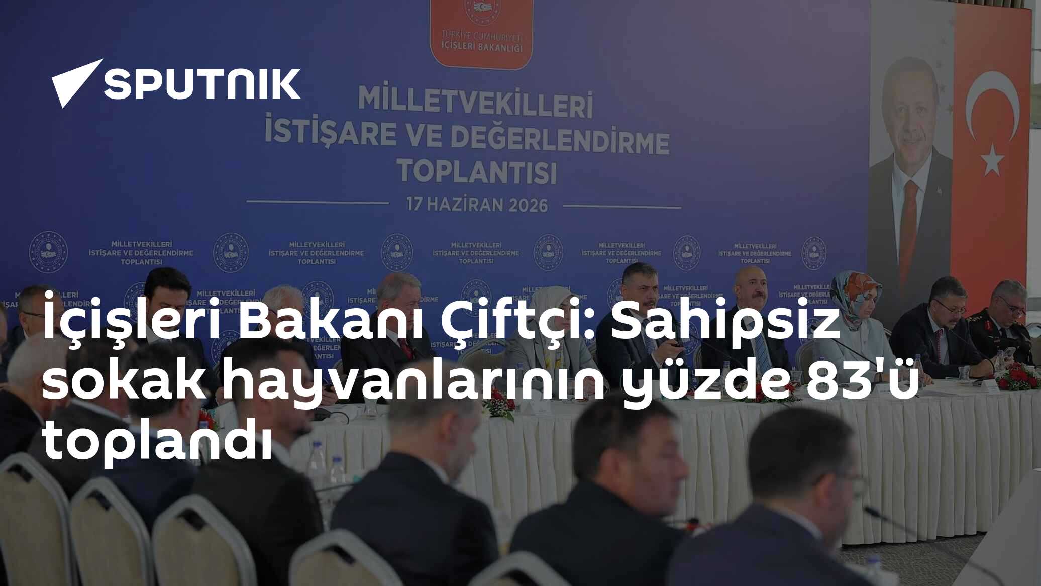 İçişleri Bakanı Çiftçi: Sahipsiz sokak hayvanlarının yüzde 83'ü toplandı
