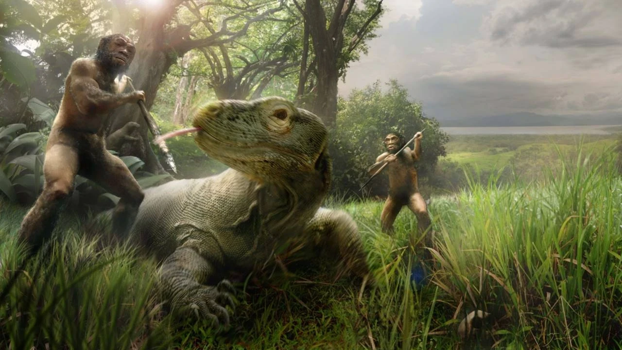 ‘Hobbit’ler, Komodo ejderlerinin peşinden gitmiş