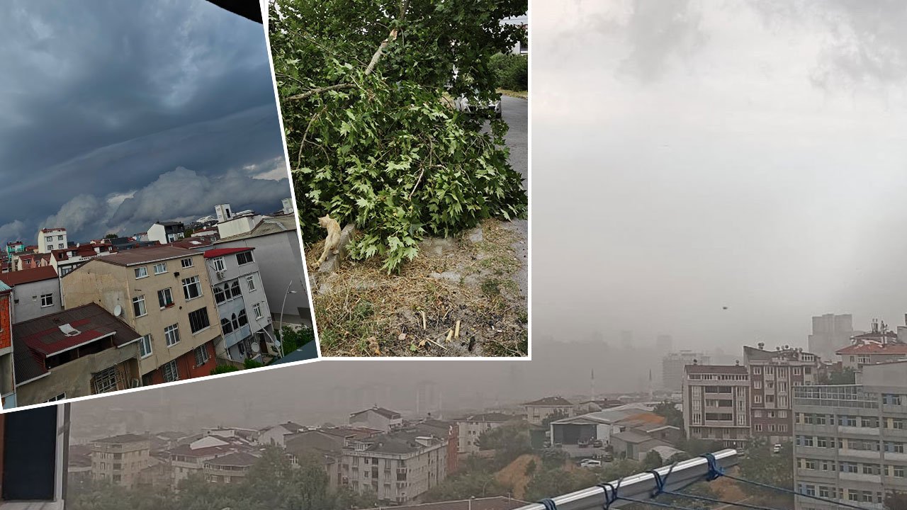 İstanbul'u fırtına vurdu! Ağaçlar devrildi, çatılar uçtu