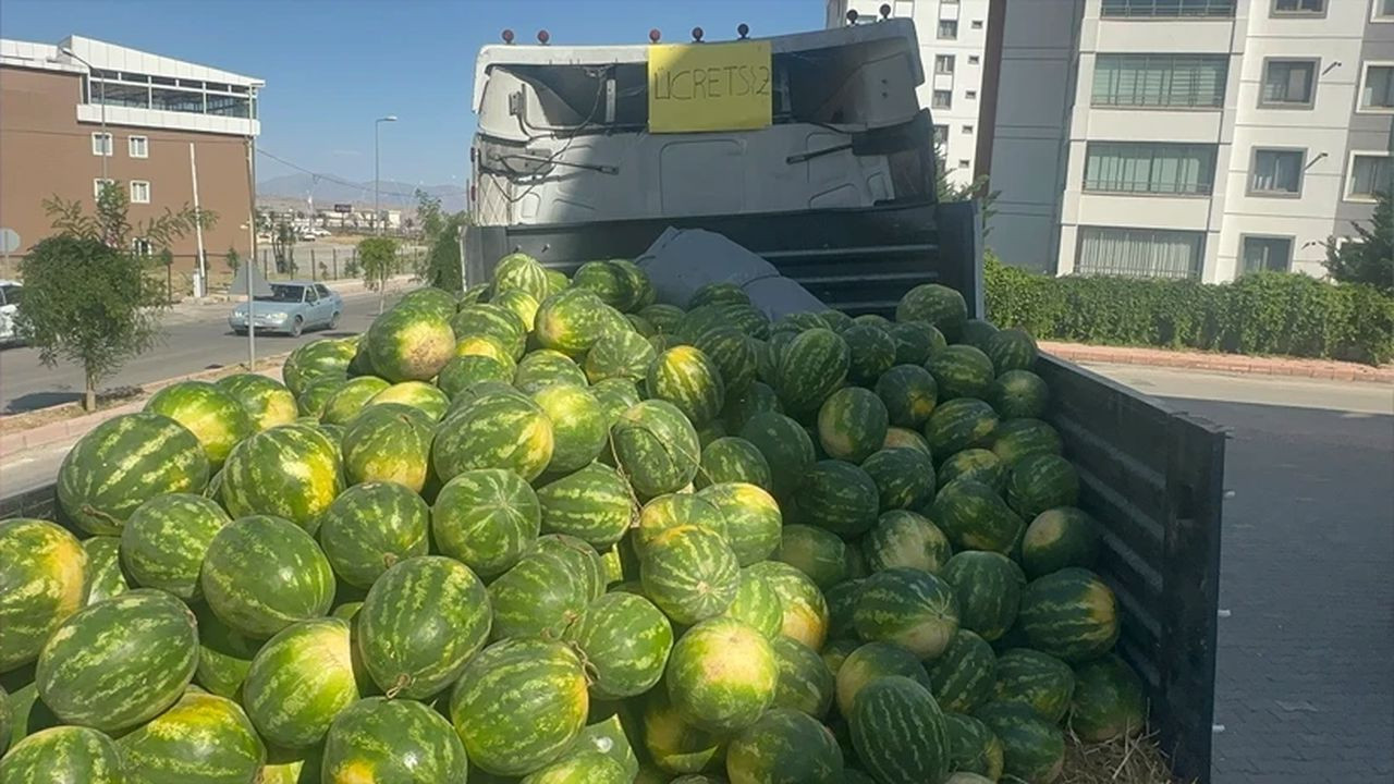 Bolu'da ücretsiz dağıtıldı: 1 ton 1 saatte bitti
