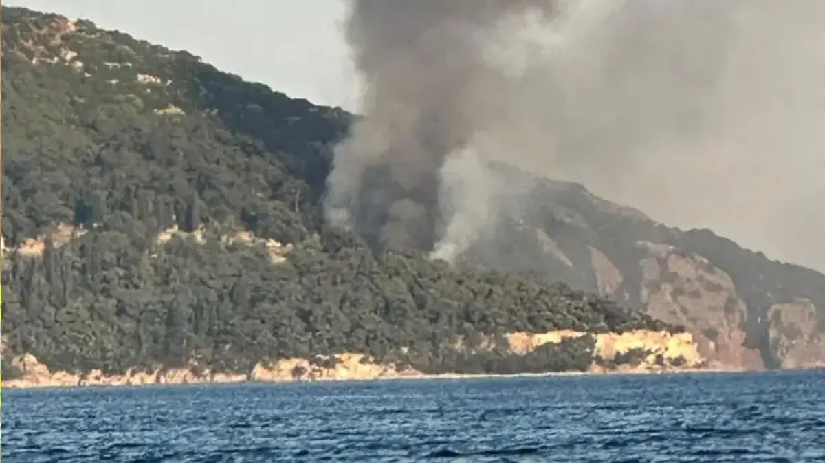 Büyükada'daki Viranbağ Plajı'nda çıkan yangın paniğe neden oldu
