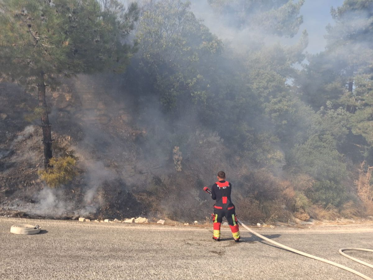 Ayvalık'ta Zeytin Bahçesinde Yangın
