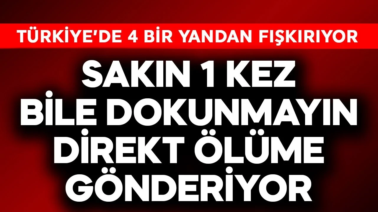Türkiye'de 4 bir yandan fışkırıyor! Sakın 1 kez bile dokunmayın, direkt ölüme gönderiyor