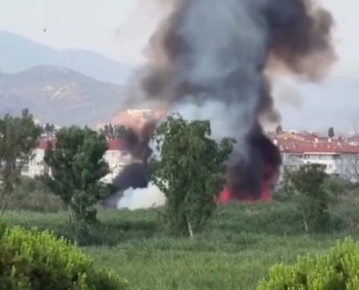 Balıkesir'de sazlık alanda çıkan yangın söndürüldü