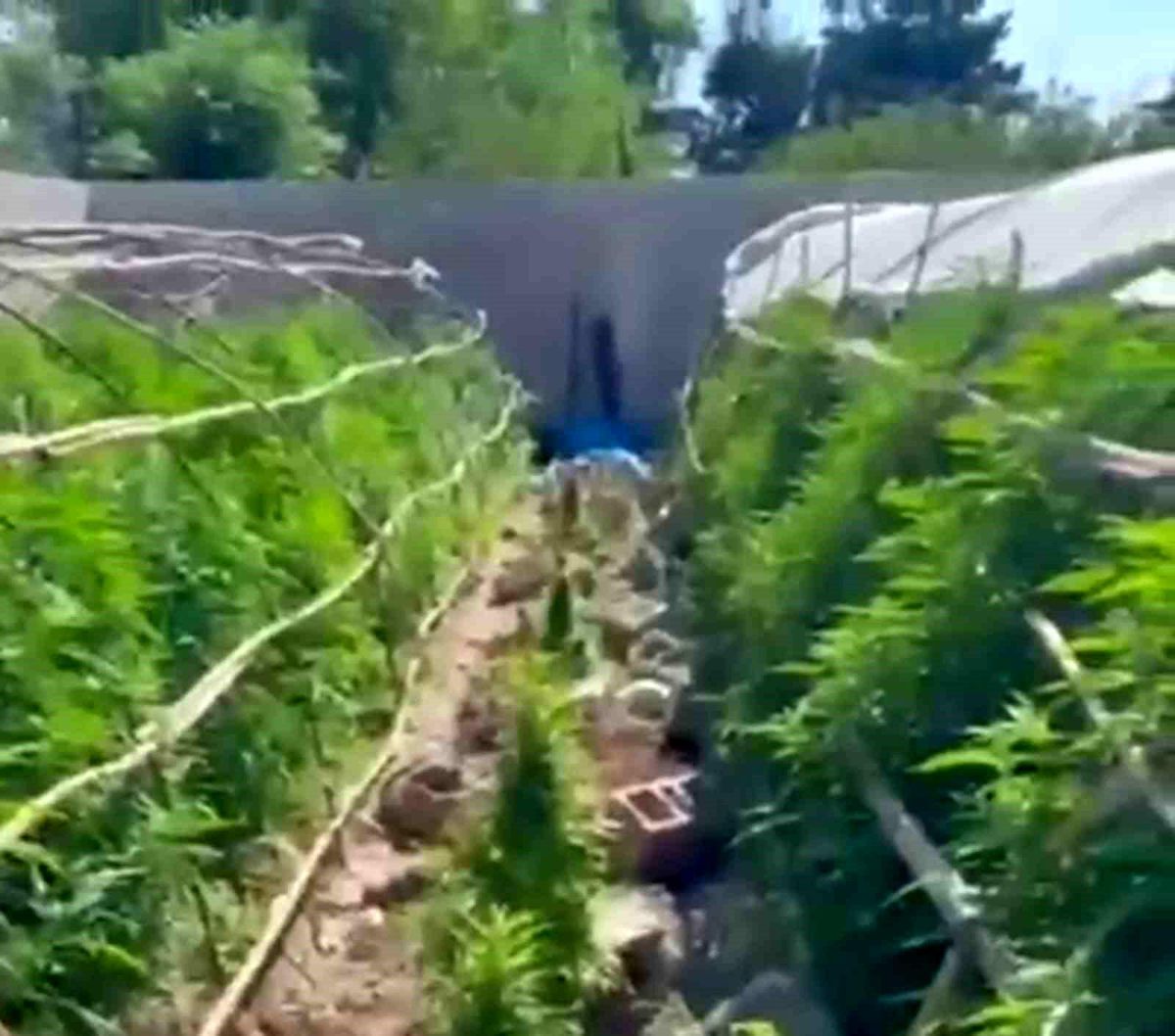 Seraları uyuşturucu üretim tesisine çeviren şahıslara operasyon