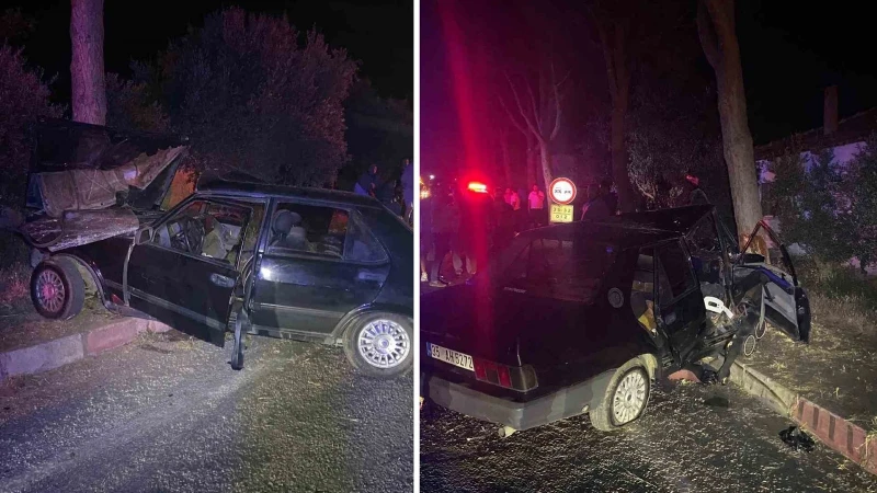 Sokak köpeğinden kaçmak isteyen otomobil ağaca çarptı: Biri ağır 2 kişi yaralandı