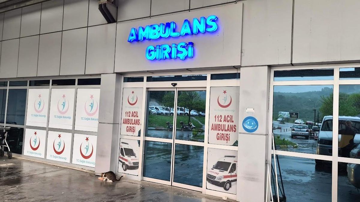 Ihlamur ağacından düşen kadın yaralandı